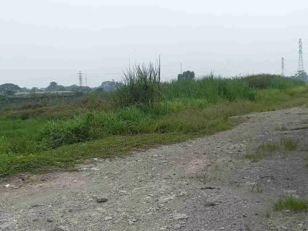 Dijual tanah darat lebar muka kurang lebih 100meter