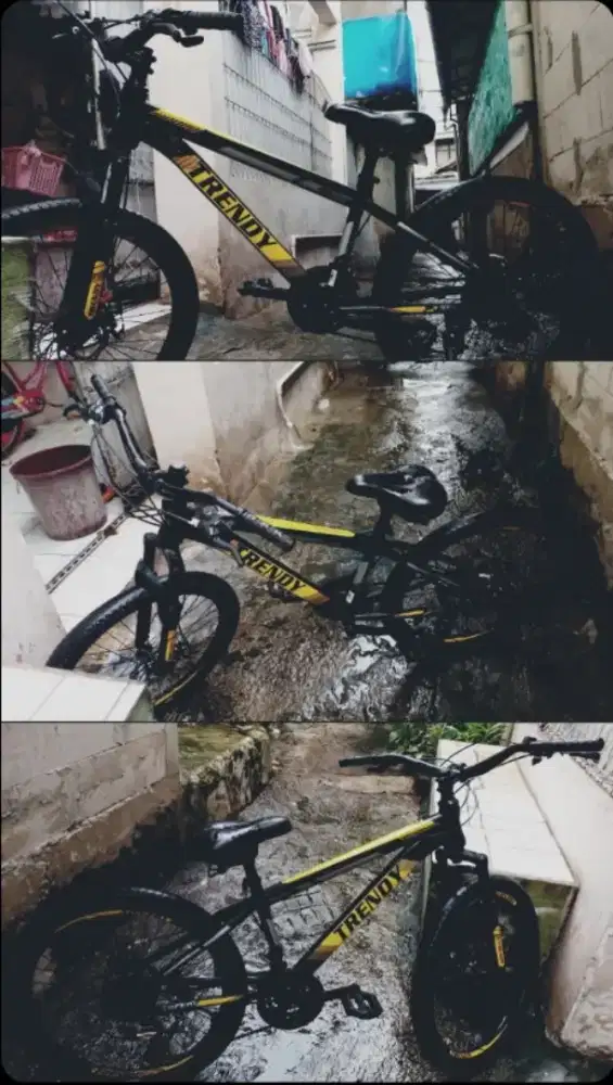 sepeda gunung (MTB) trendy 806