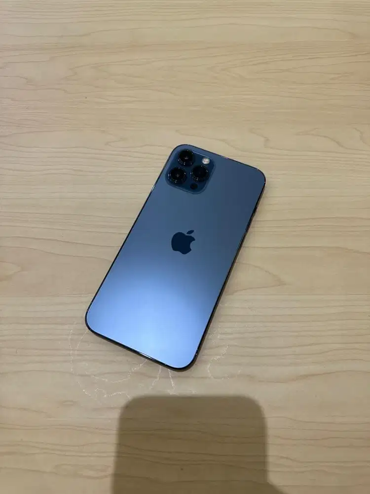 iphone 12 promax 256 mulus no minus