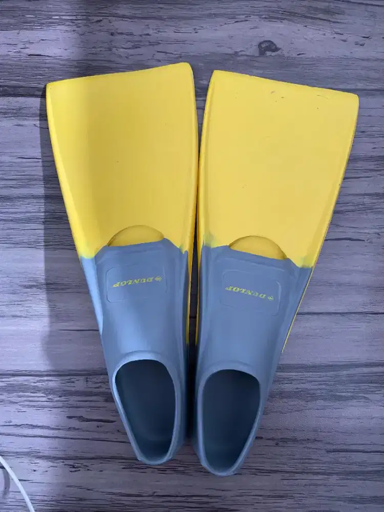 FS: Fins Dunlop Anak