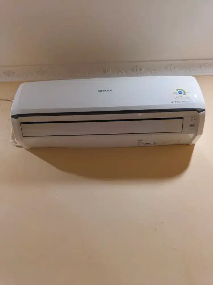 Ac Sharp 3/4 pk Inverter