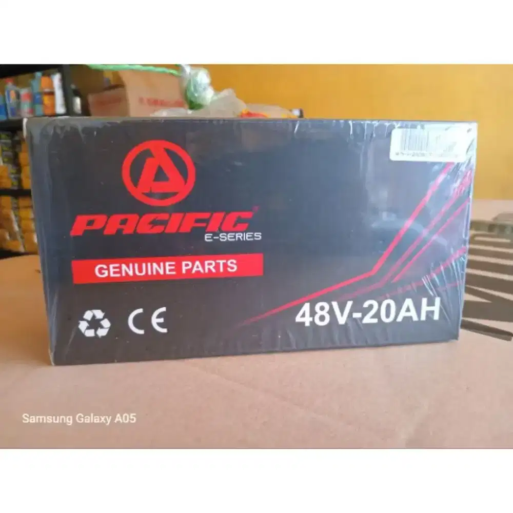 Charger/Casan Sepeda listrik Pacific 48V/20AH-Male,Original