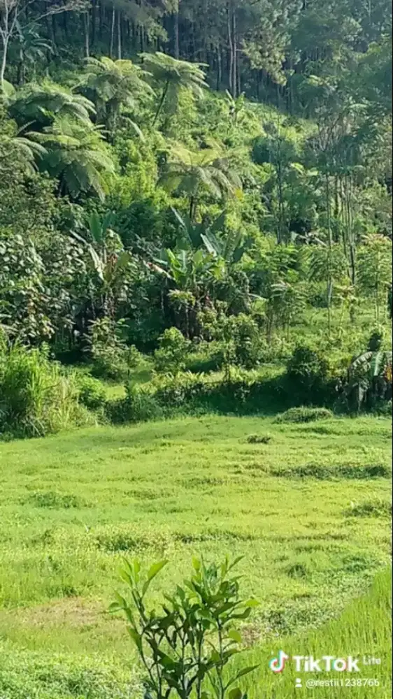 Butuh kerjaan ap saja asal halal