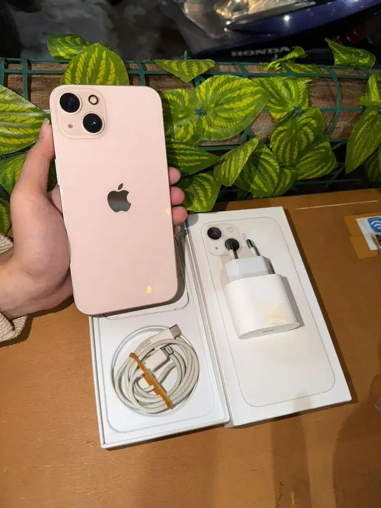 Iphone 13 pink 128 inter alloperator