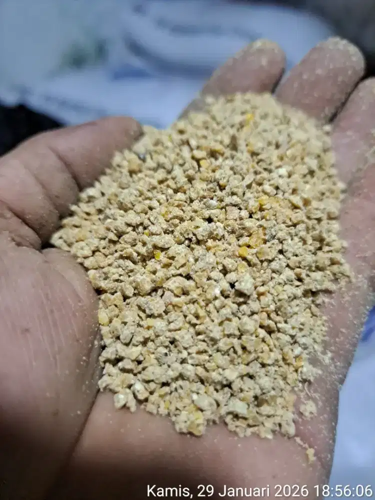 Pur protein tinggi setara 511 hipro