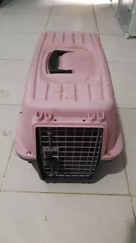 Pet cargo sedang cepat