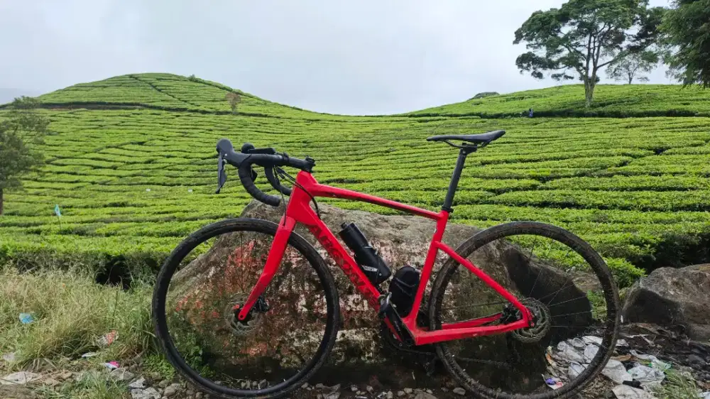 Roadbike argon 18 kripton Gs 105