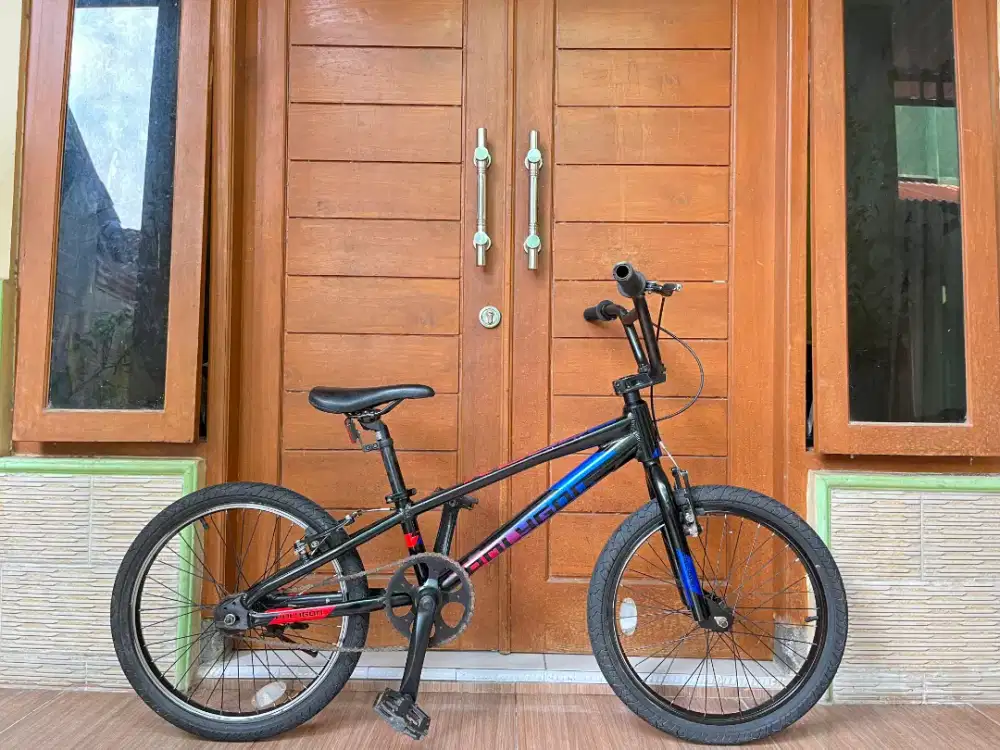 BMX polygon rogue original