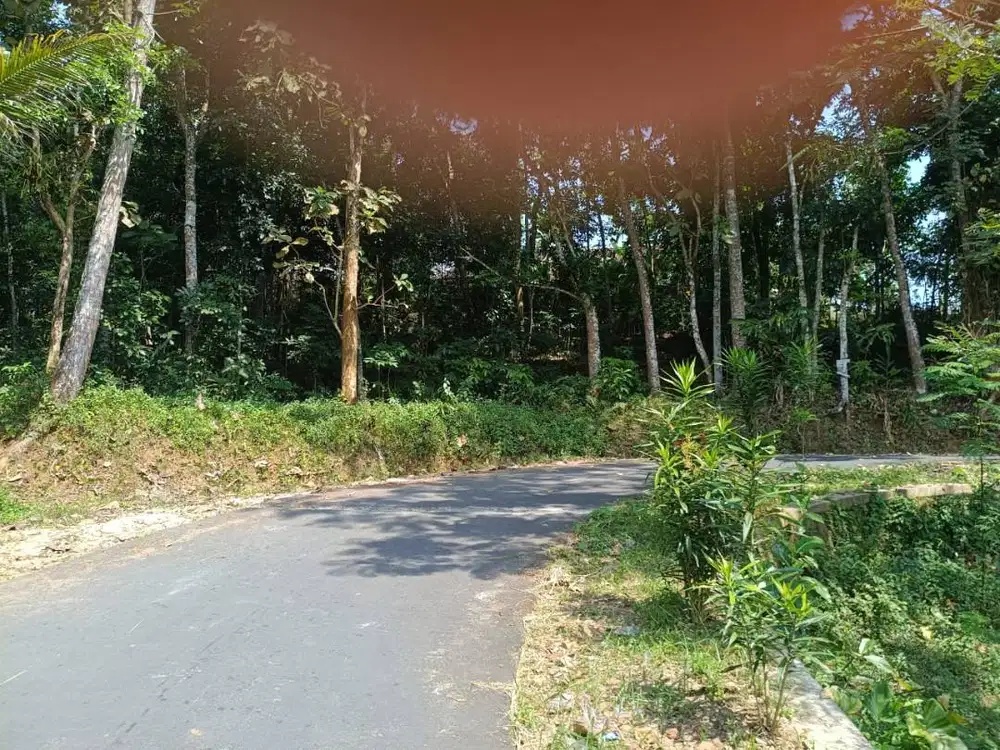 TANAH SHM Pekarangan