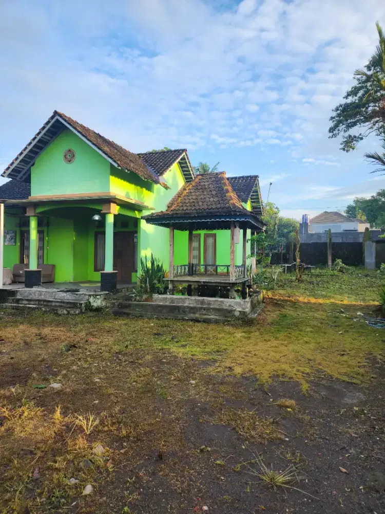 Tanah pekarangan disewakan