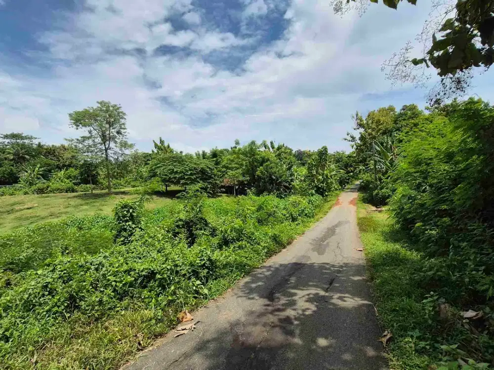 TANAH 2.6 HEKTAR DI TEGAL BADENG BARAT JEMBRANA BALI