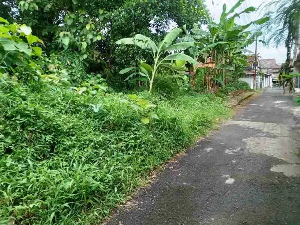 Tanah kosong strategis untuk kos kompleks kampus Unsoed Purwokerto