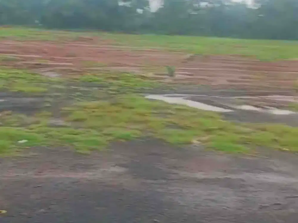 Disewakan lahan 4 hektar di karawang