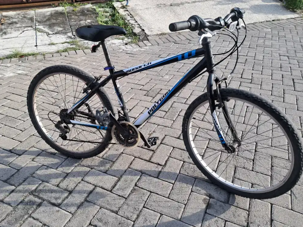 Polygon Monarch Original