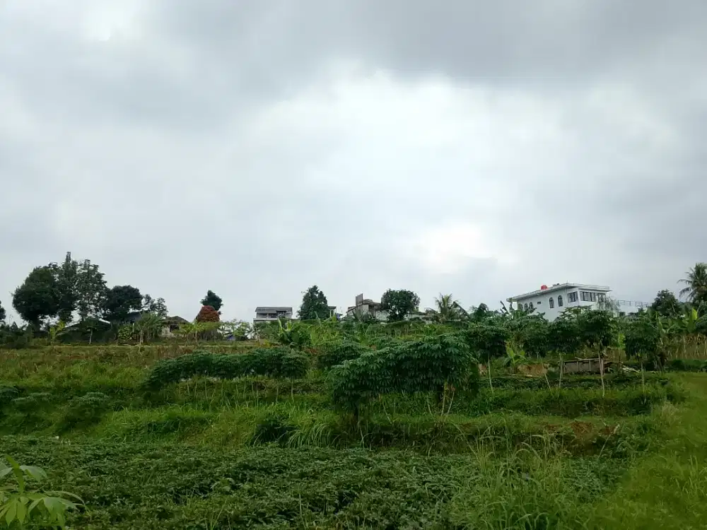 Di Jual tanah 12 hektar surat sudah sertifikat harga Murah