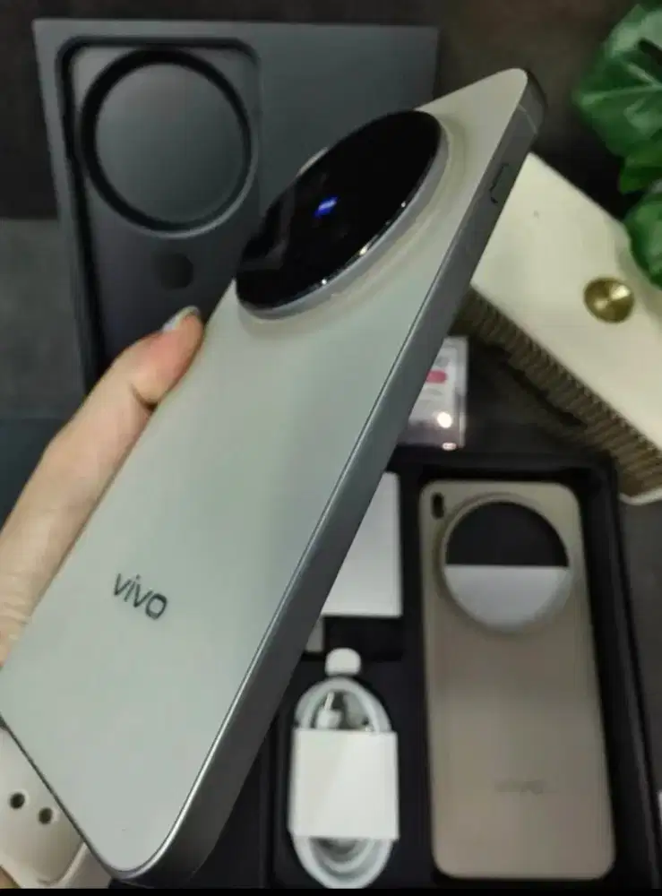 Vivo X300 Pro brown 16/512