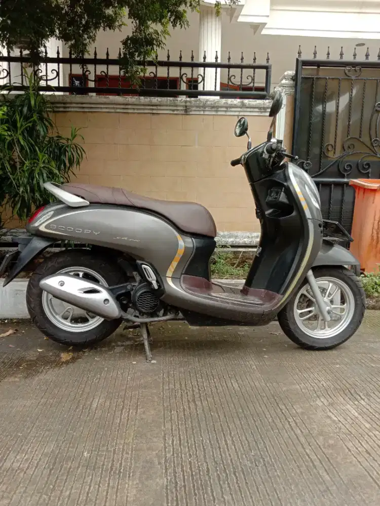 Scoopy Keyless coklat