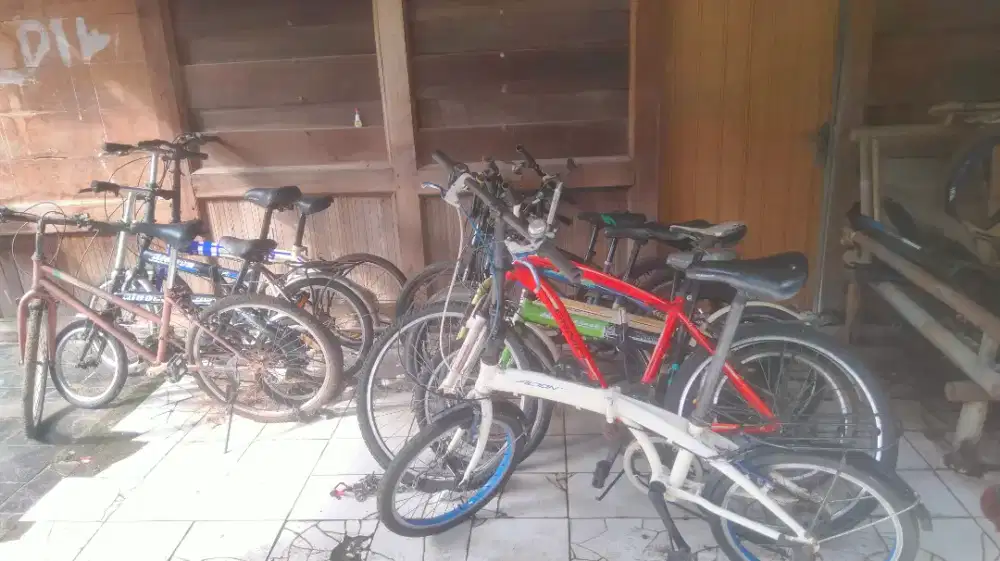 Di borobgin aja spd ada 11 biji