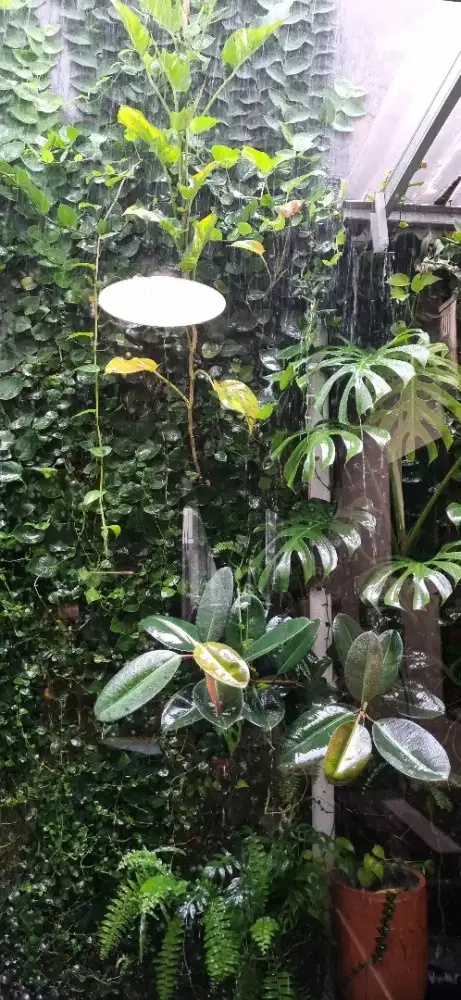 ART Tidak Inap (PP) Graha Raya