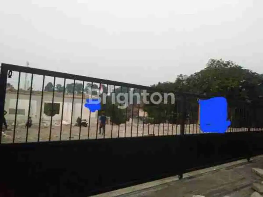 TANAH DI JALAN RAYA CIJERUK BOGOR