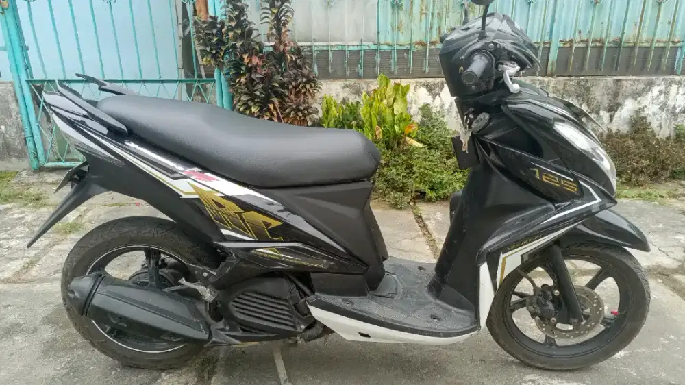 Yamaha Xeon 2013