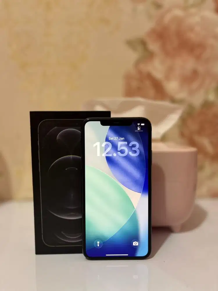 Iphone 11promax+64gb+gray (like new)