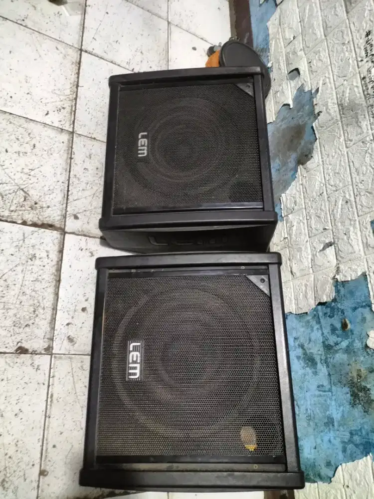 Speaker LEM BM 12 original