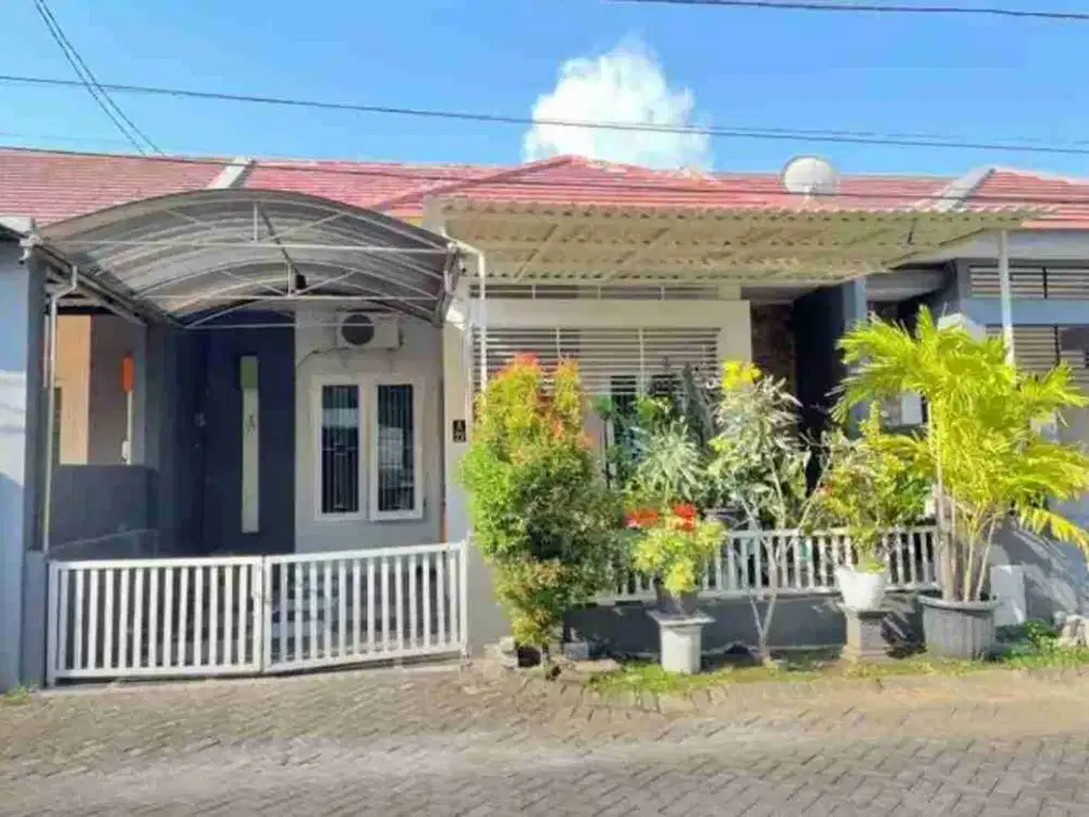 jual cepat murah rumah siap huni belakang Araya ...perumahan Koala Regency