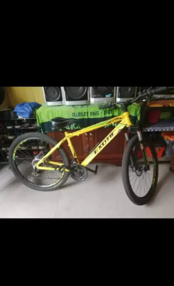 SEPEDA EXOTIC 2611