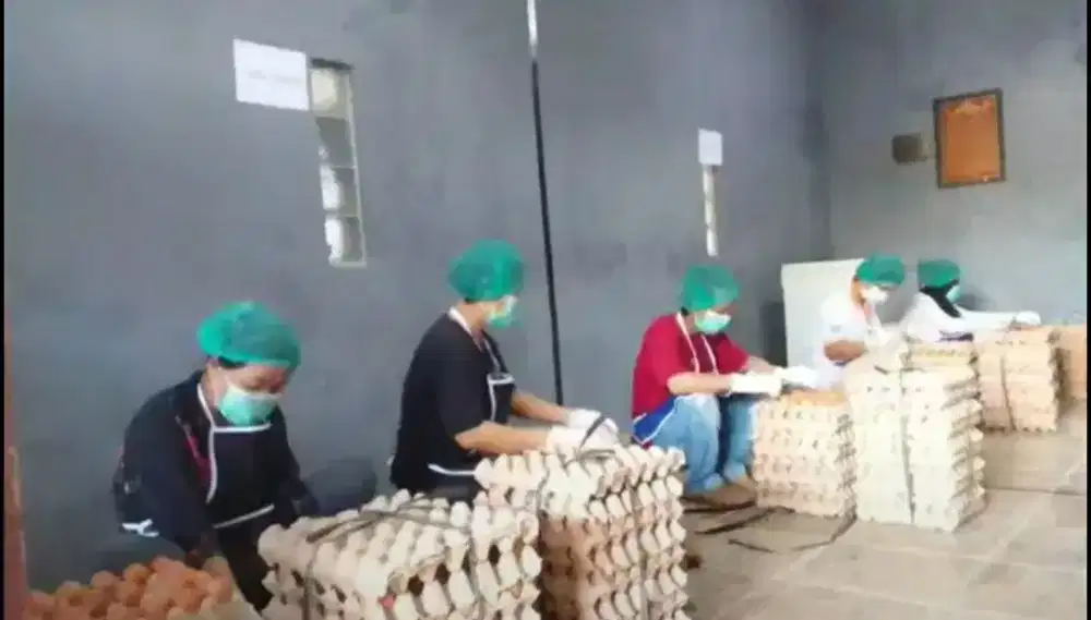 Staff Gudang dan Bagian Sortir