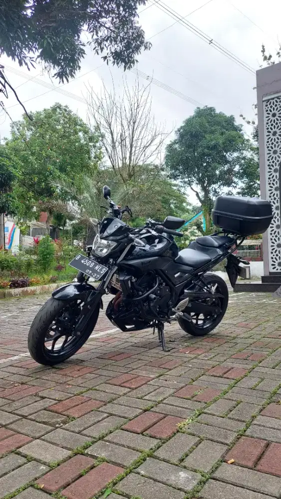 Yamaha MT25 2017