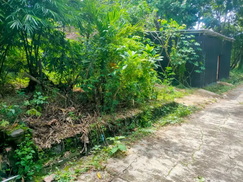 Jual tanah lokasi Jatikuwung Gondangrejo lt 508mtr hrg 800rb/MTR nego