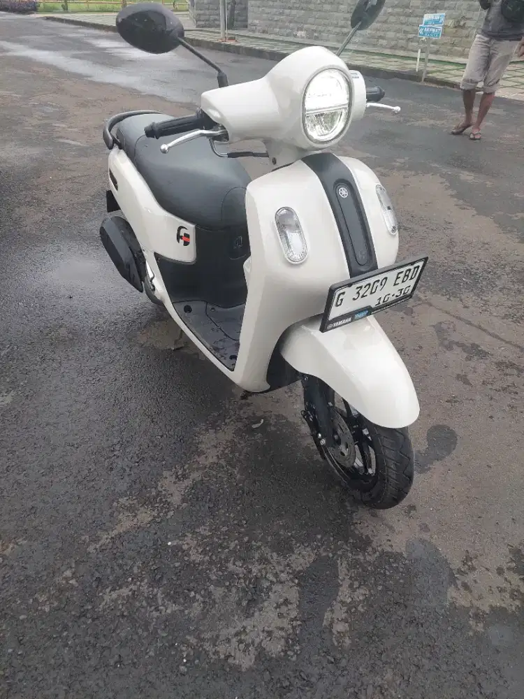 For sale fazzio 2025