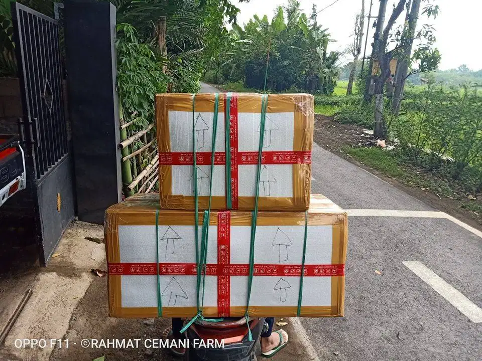 Mesin penetas telur otomatis