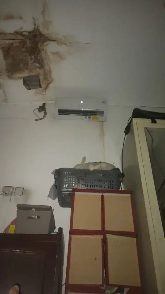 Kami cari art / pembantu