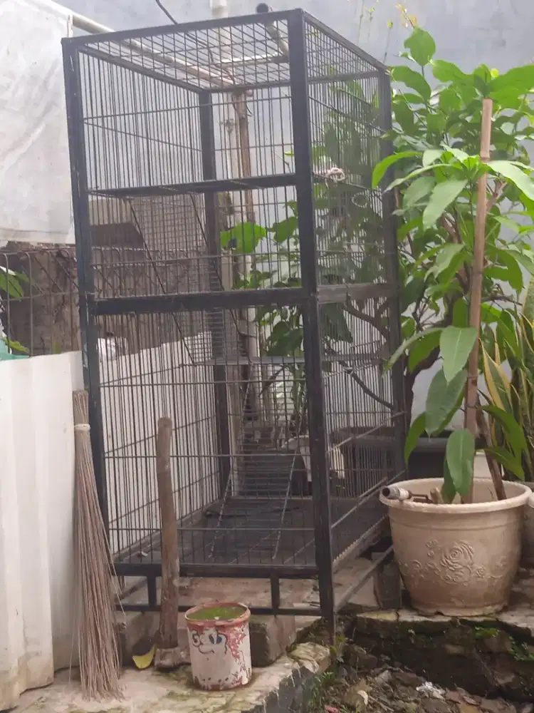 kandang Kucing tingkat