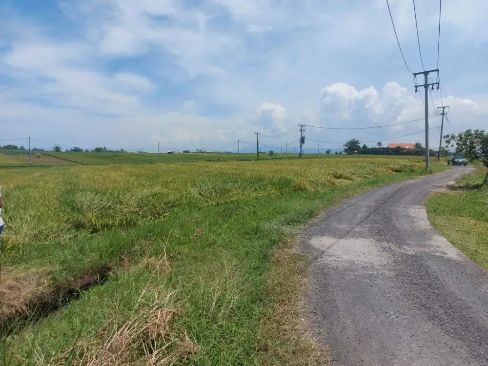 Jual Tanah Ocean View , Sawah Dan Gunung Di Jalan Pantai Beraban Tabanan Bali.