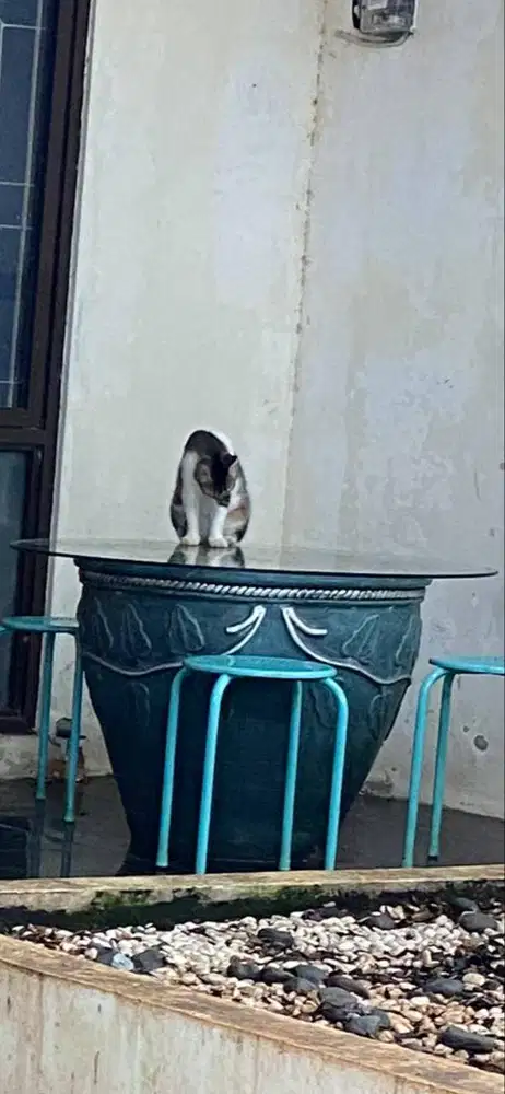 Meja teras cantik bagus