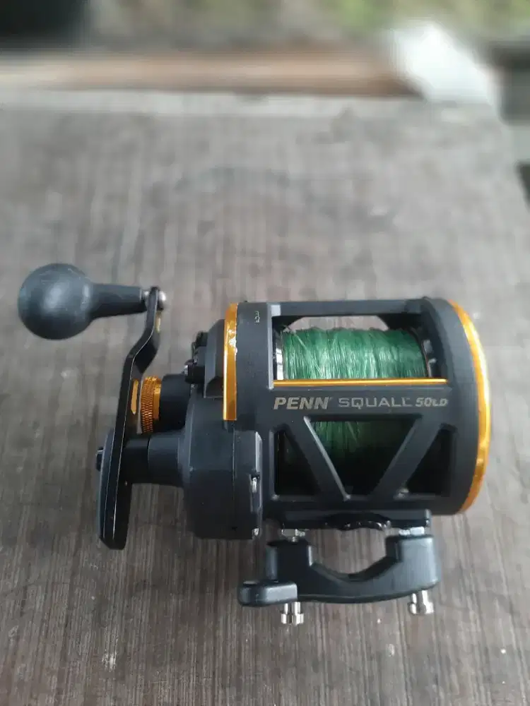 Kual Reel Penn Squall 50LD