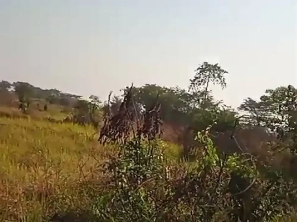 Dijual Lahan Jl Cerme Gresik