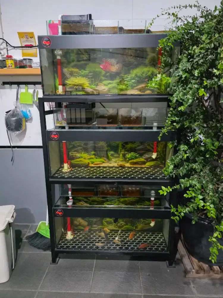 Jual aquarium 3 susun baru pakai 3bulanan ukuran 100x40x40