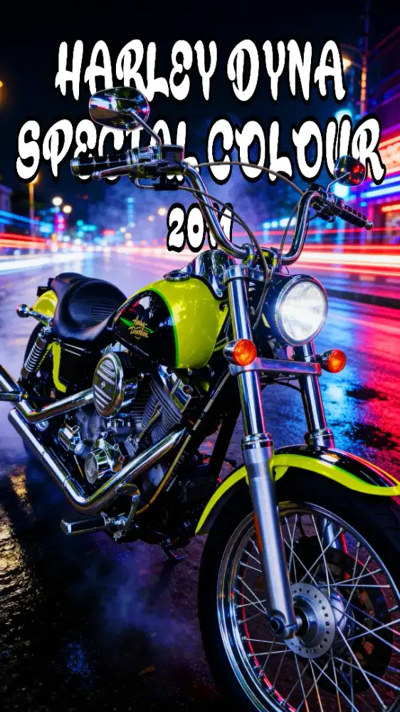 Harley dyna 2011 special colour
