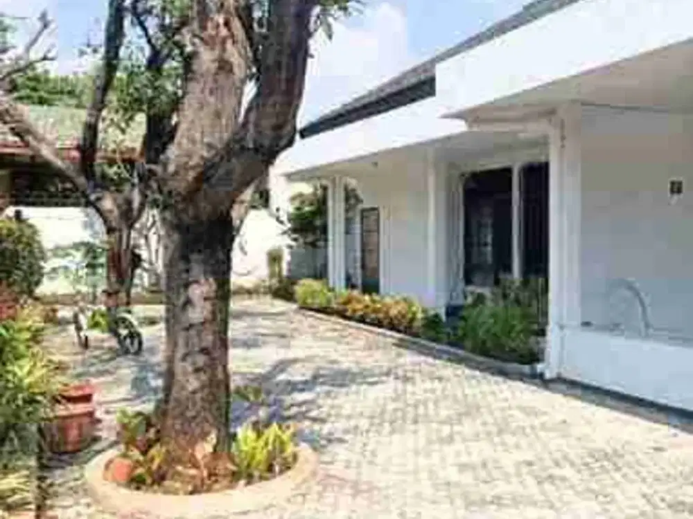 terlanjur murah di Pulo gebang permai