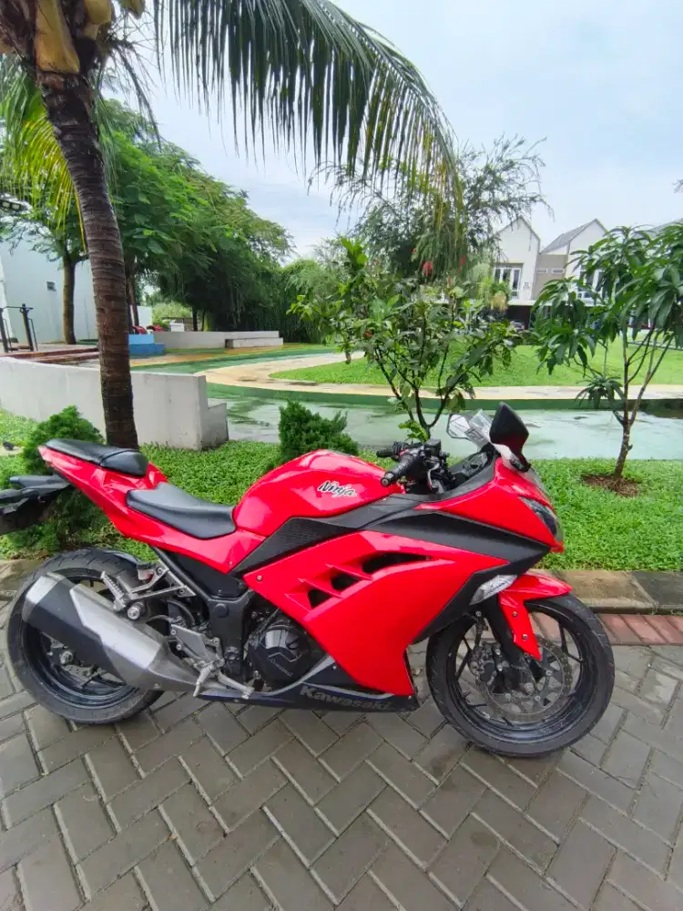 Kawasaki ninja fi 250 th 2013