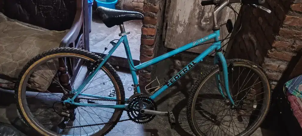 Sepeda federal stray cat ML40