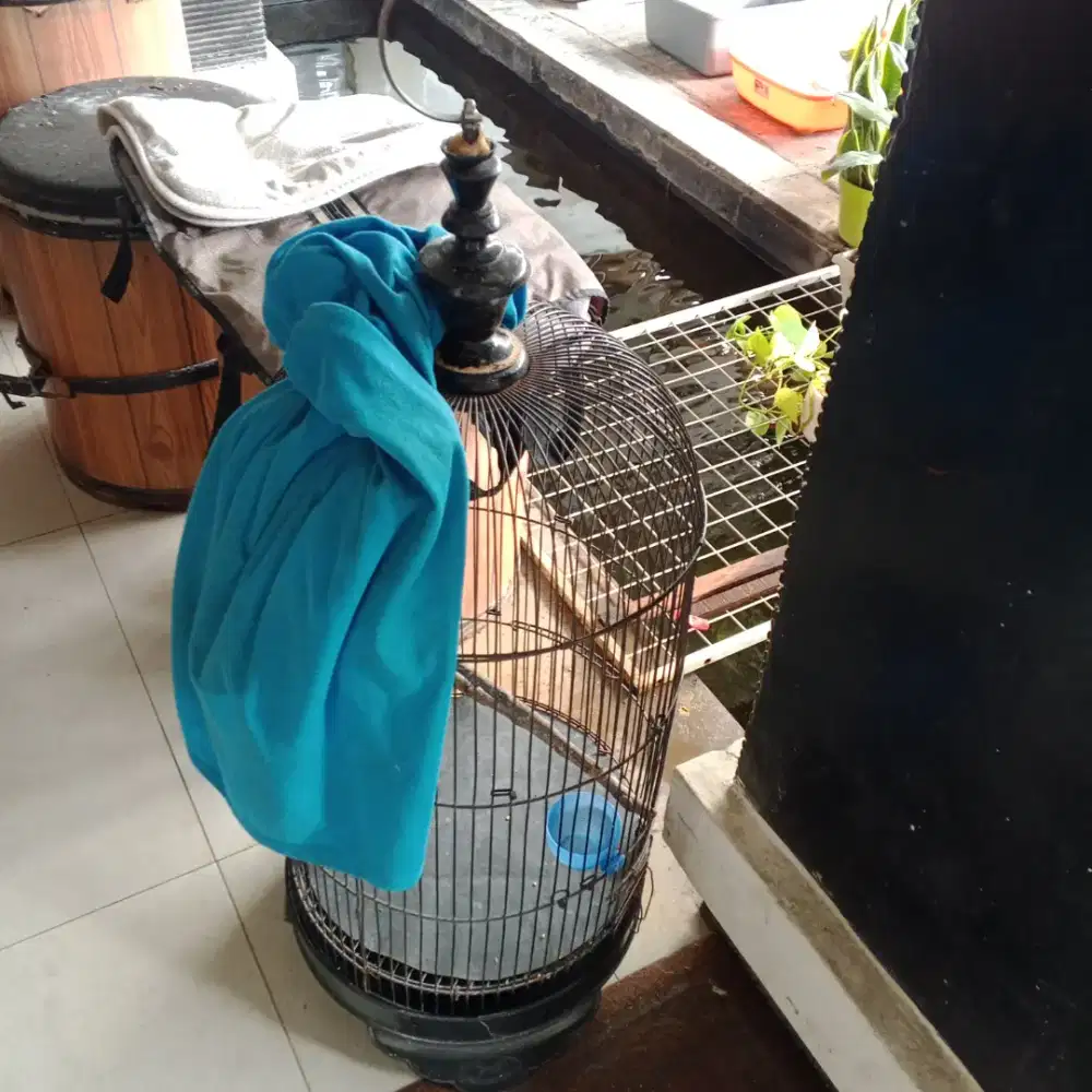 Kandang burung LB
