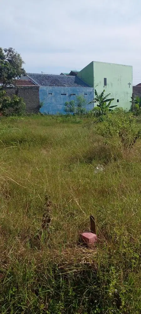 Tanah 145 meter persegi area gondangrejo