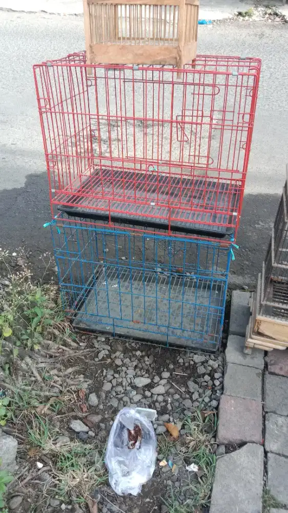 Kandang kucing. Anjing atau kelinci