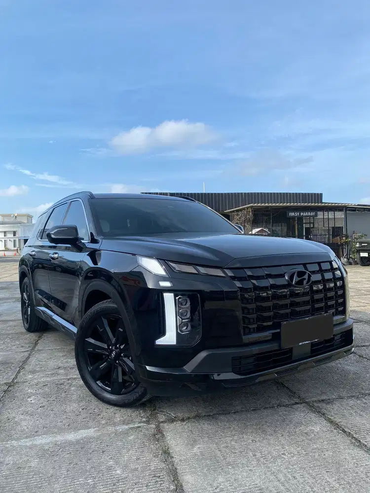 Hyundai Palisade 2,2 Signature XRT 2Wd At 2024