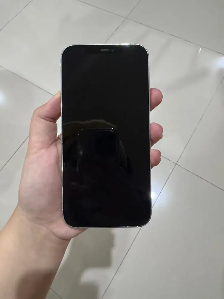 Iphone 12 Pro Max, Silver, 128 GB